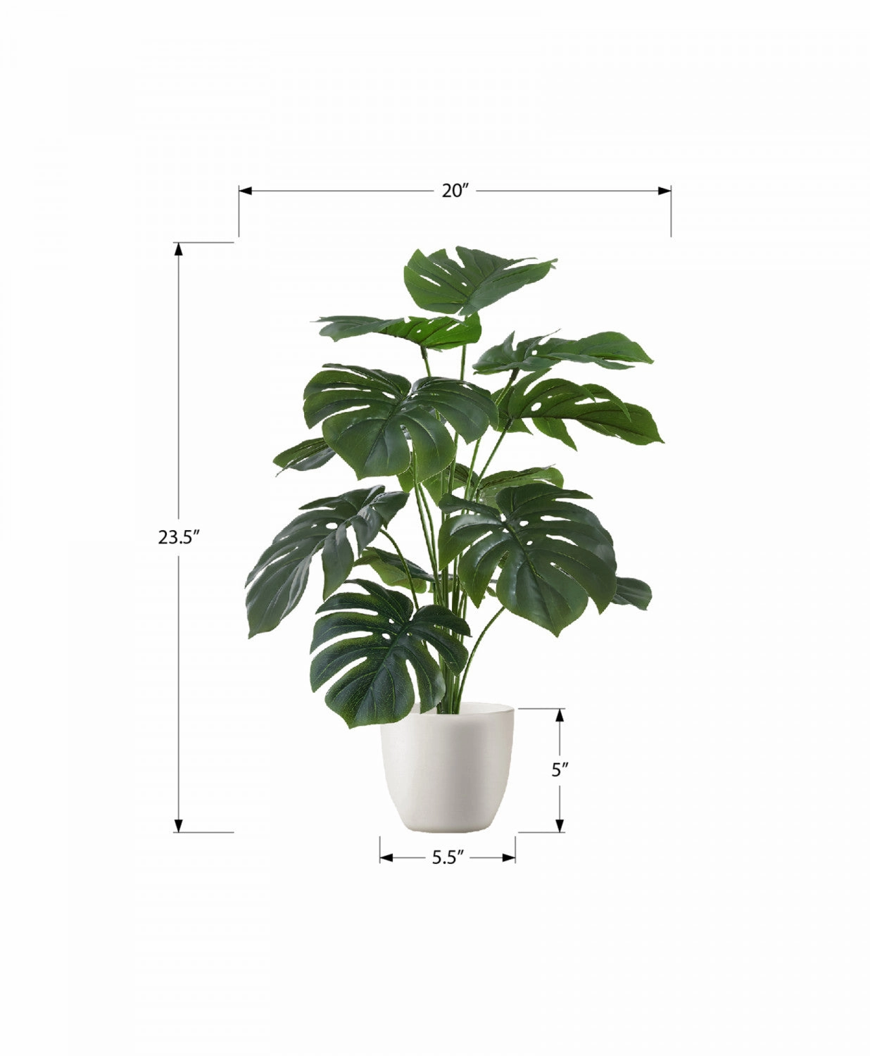 24" Monstera Plant With 5" Black Pot - Green