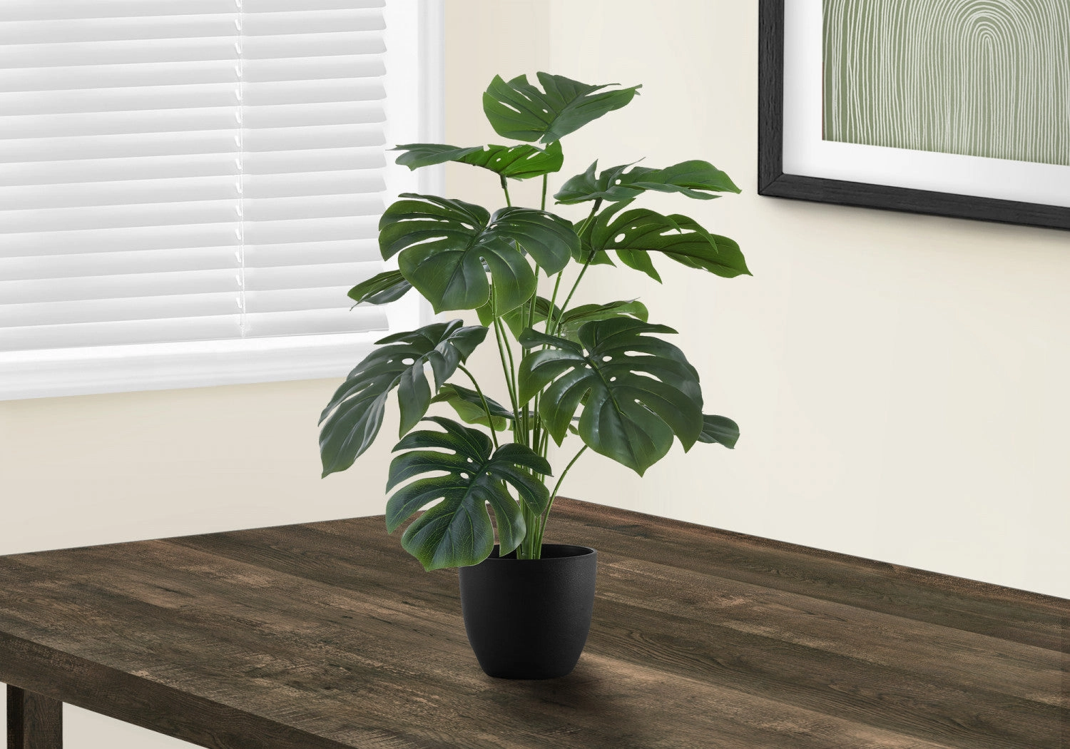 24" Monstera Plant With 5" Black Pot - Green