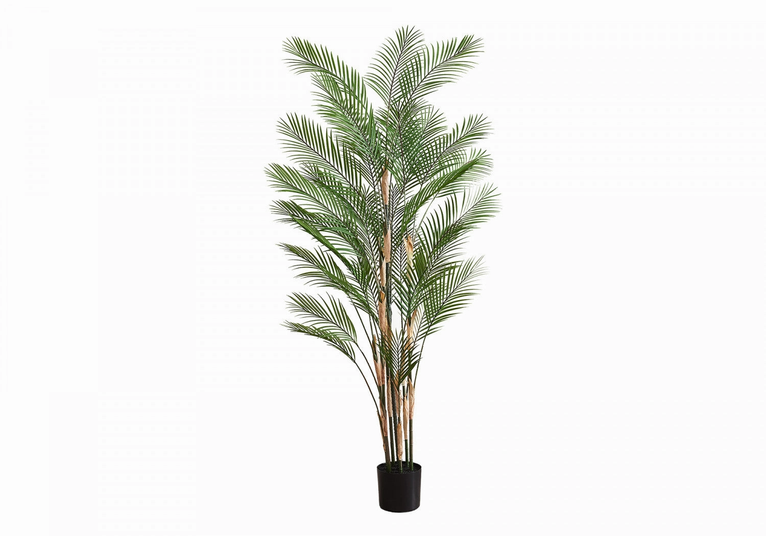 83" Palm Tree With 8" Black Pot - Green