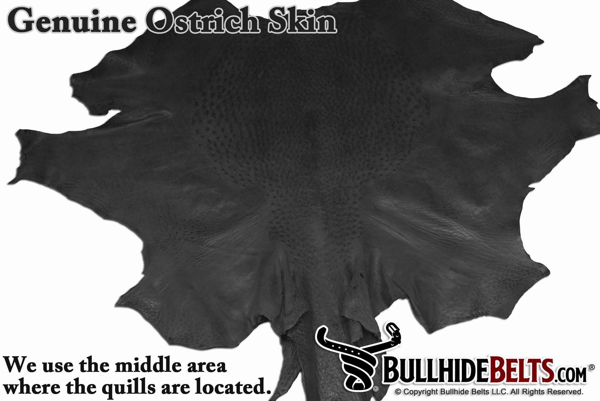 Black Ostrich Money Clip Wallet With Credit Card Slots