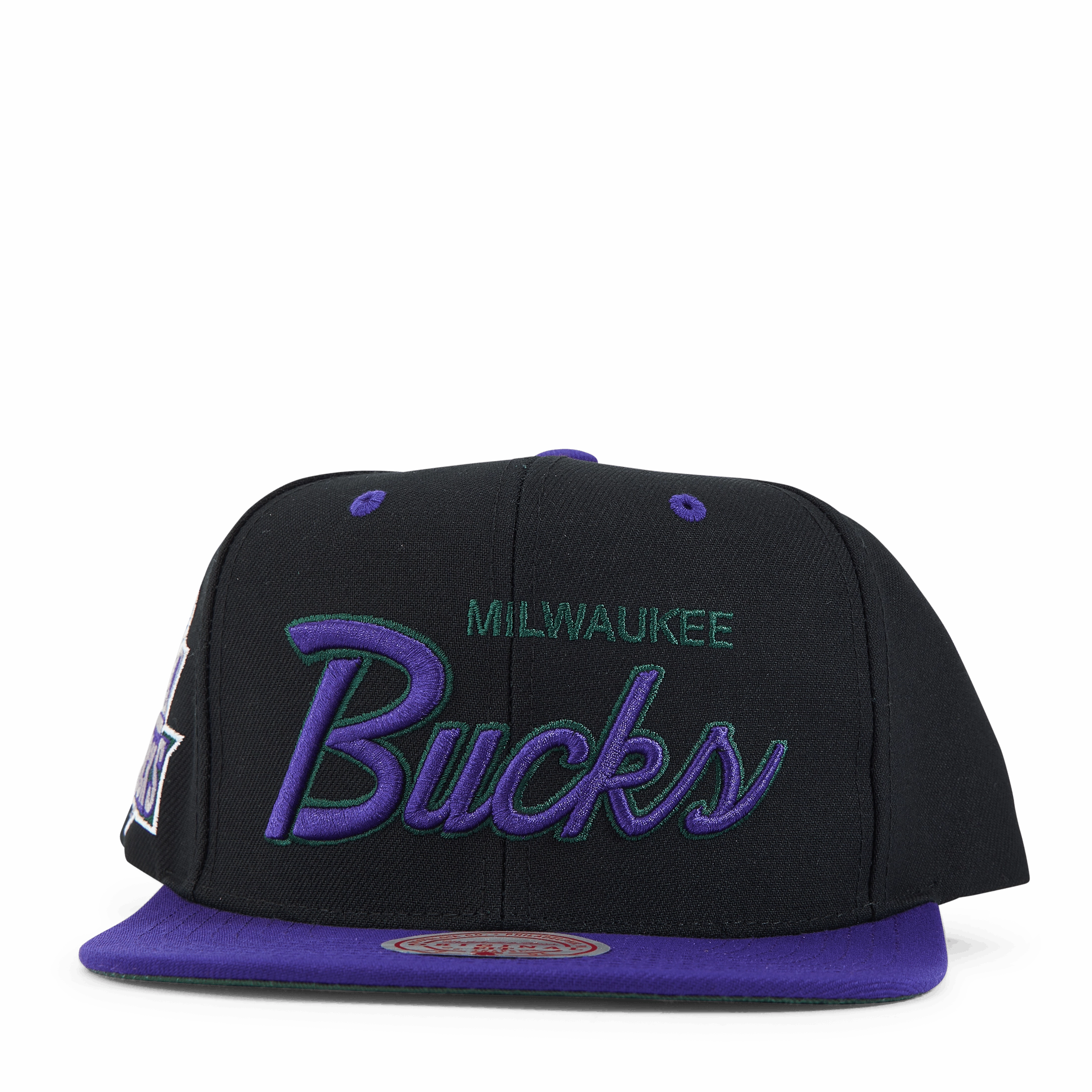 Bucks Script Pop Snapback