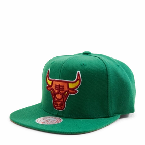 Bulls Like Mike Snapback NBA
