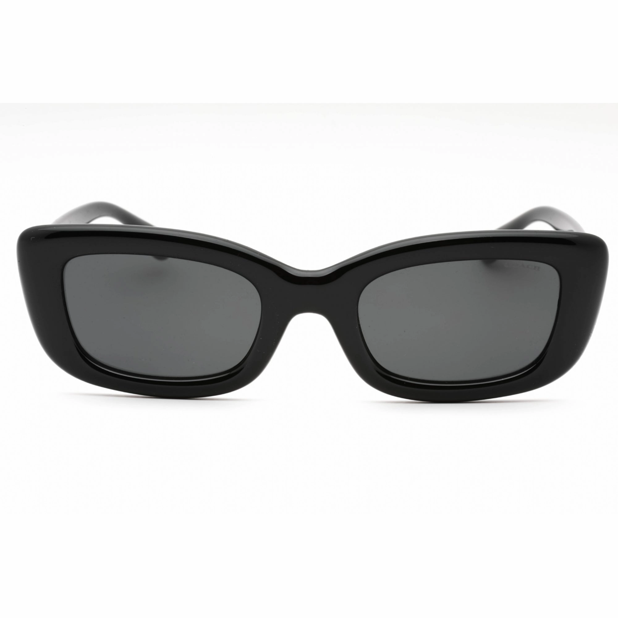 Coach Women's Sunglasses - Black Plastic Cat Eye Full Rim Frame | 0HC8390U 500287