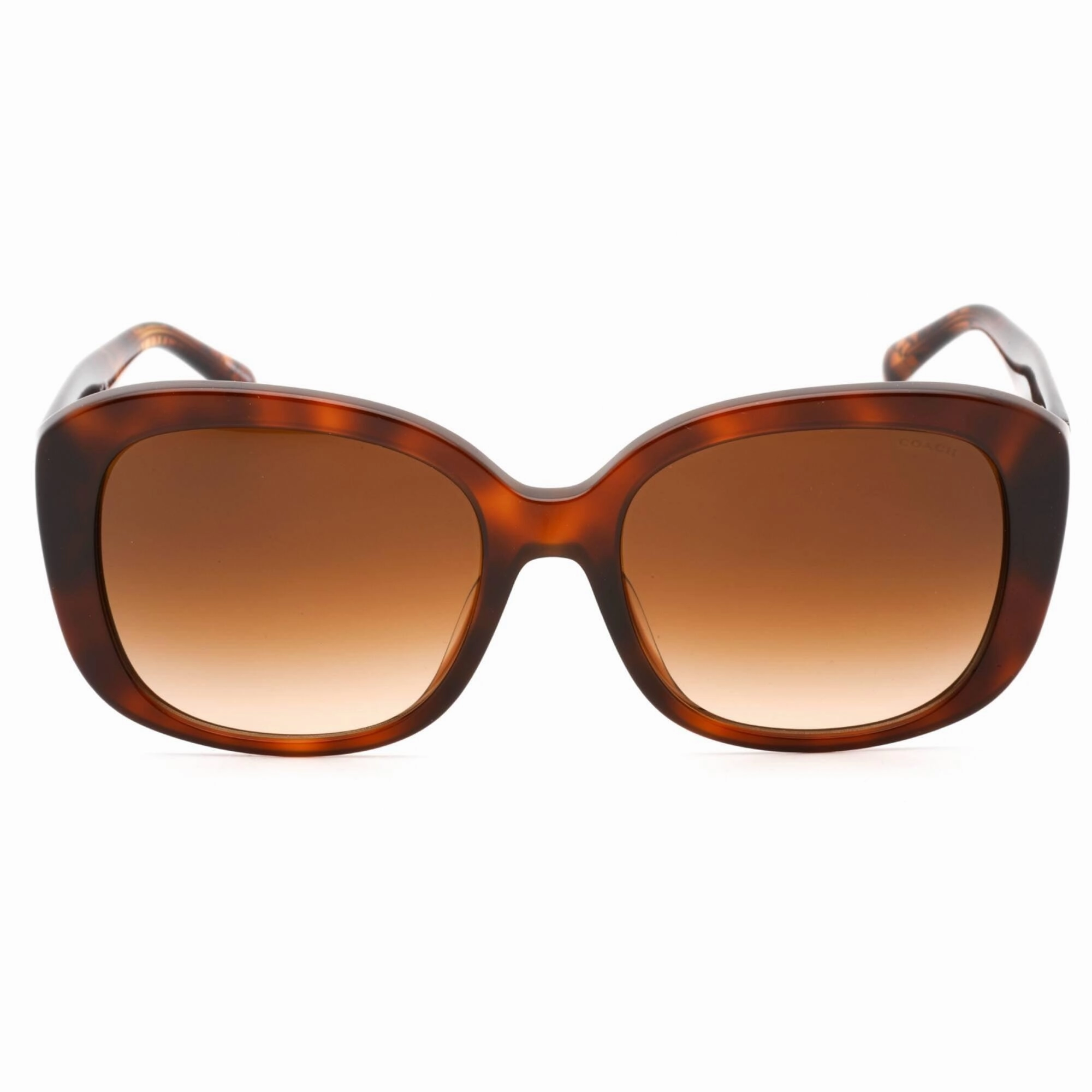 Coach Women's Sunglasses - Caramel Tortoise Plastic Full Rim Frame | 0HC8363U 574174