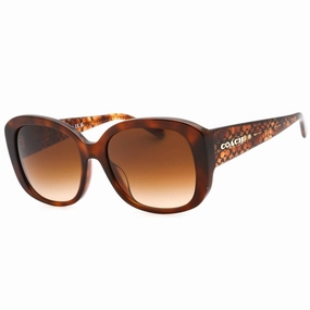Coach Women's Sunglasses - Caramel Tortoise Plastic Full Rim Frame | 0HC8363U 574174