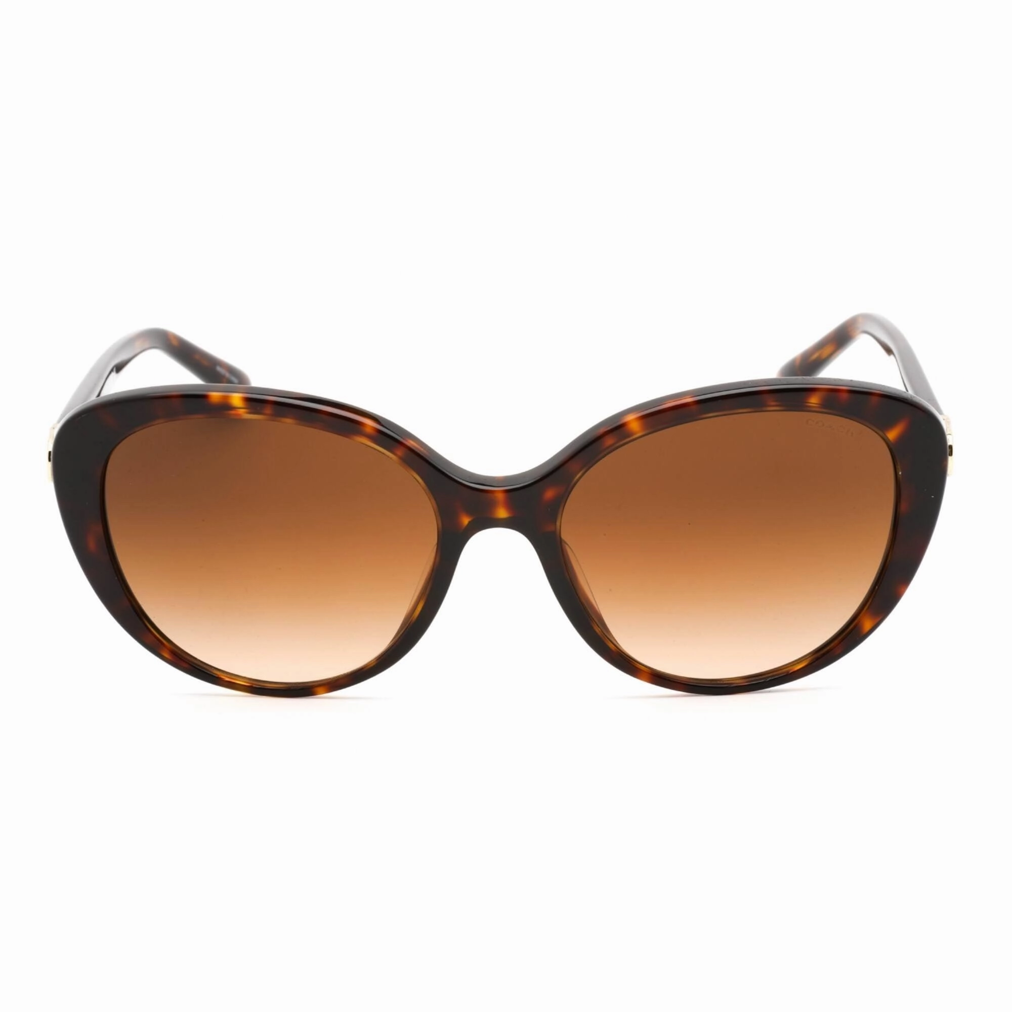 Coach Women's Sunglasses - Dark Havana Plastic Cat Eye Shape Frame | 0HC8348U 512074