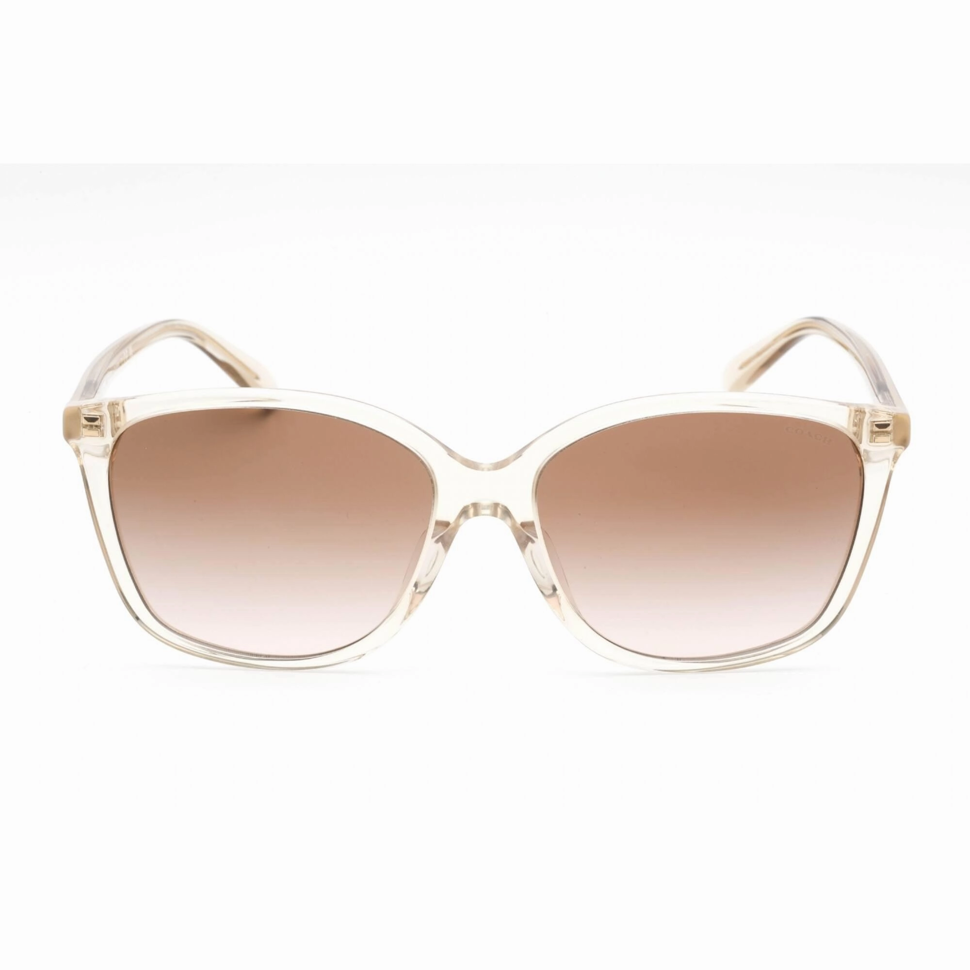 Coach Women's Sunglasses - Transparent Fawn Plastic Cat Eye Frame | 0HC8361U 573613