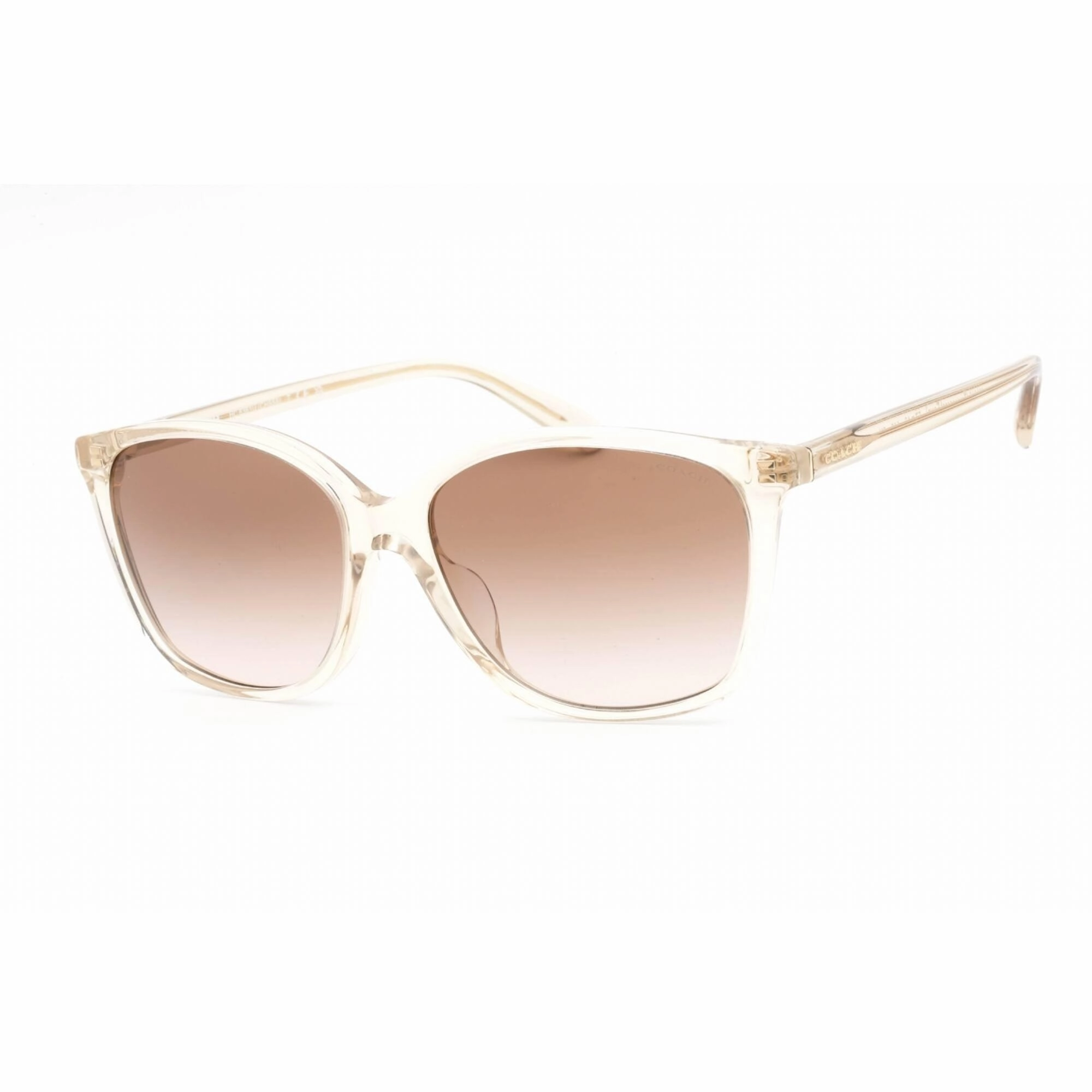 Coach Women's Sunglasses - Transparent Fawn Plastic Cat Eye Frame | 0HC8361U 573613