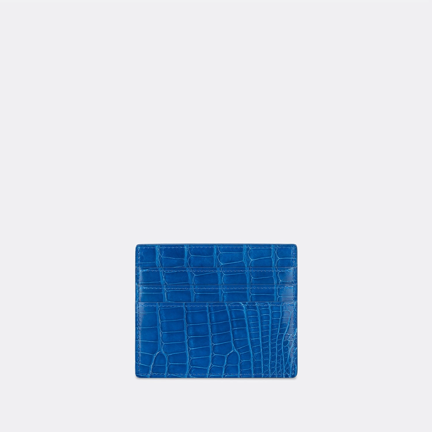 LAYERED SLIM CARD HOLDER