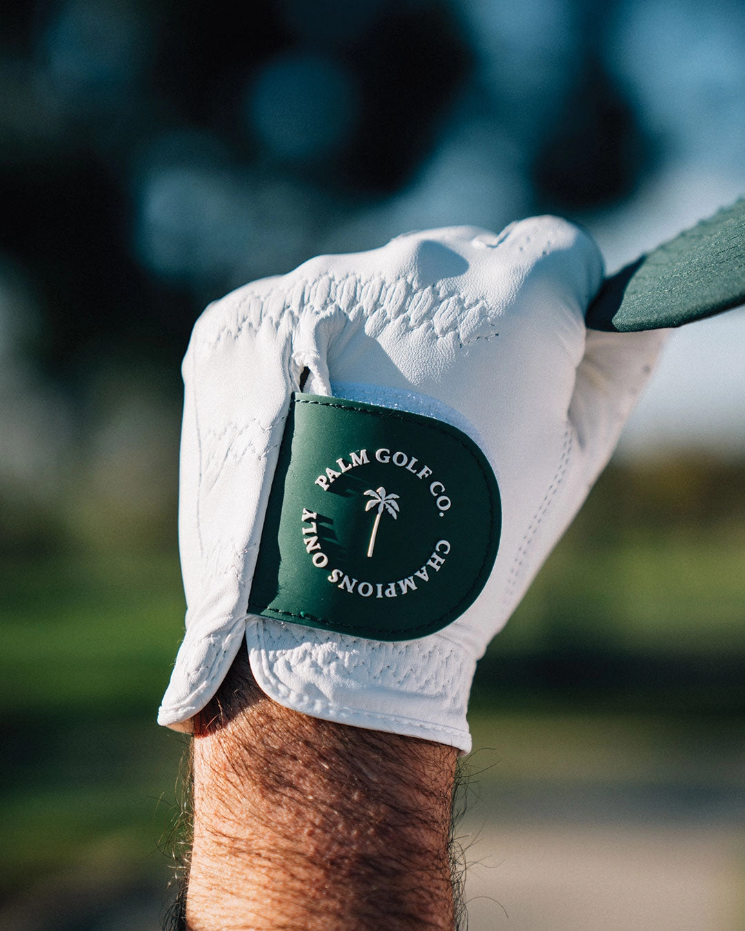 Men's Champions Only  Glove