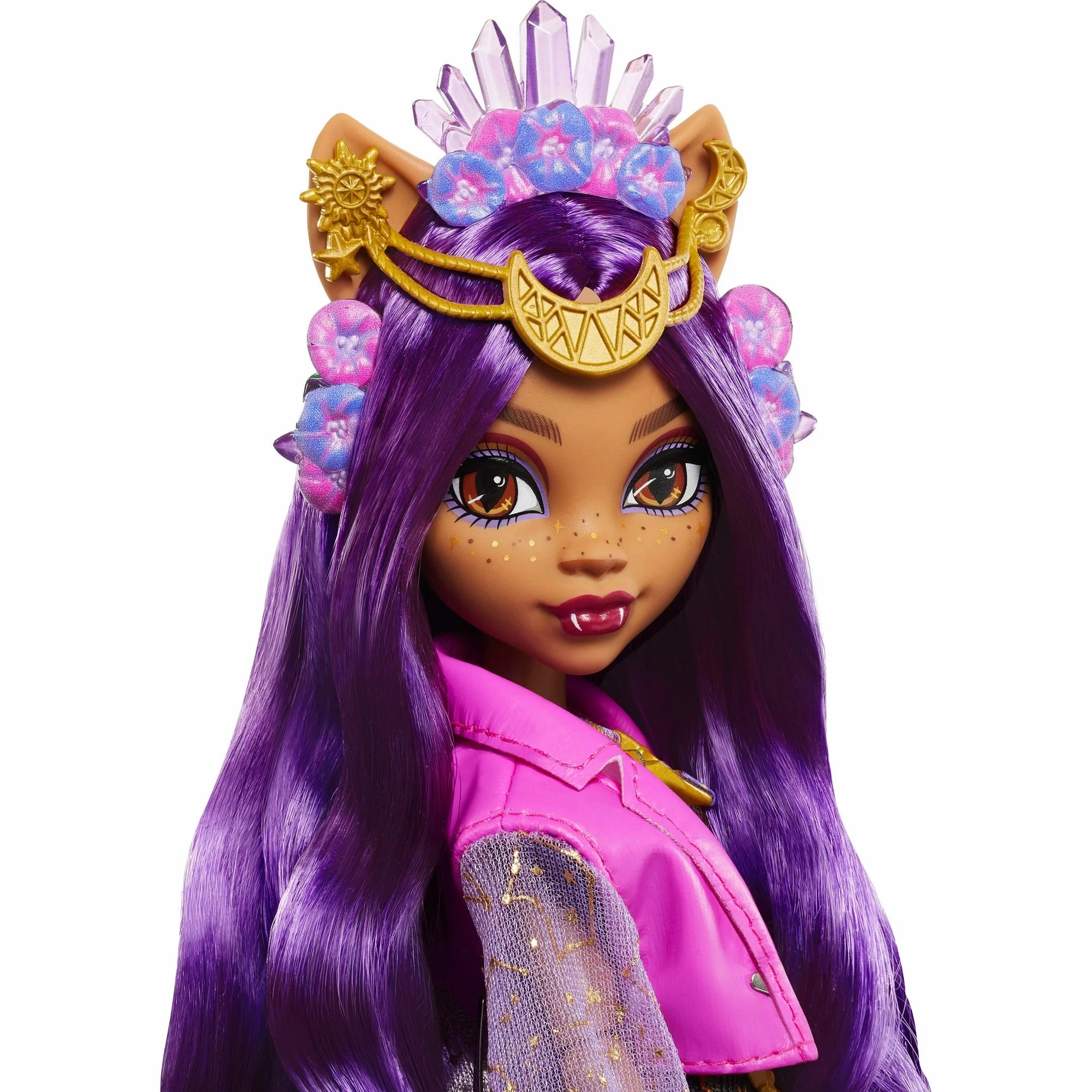 Monster High HXH80 Monster Fest Clawdeen Wolf Fashion Doll with Festival Outfit, Band Poster and Accessories