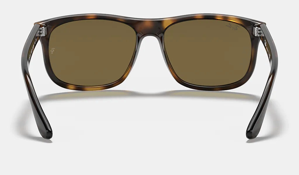 Ray-Ban  RB4226 710-73 56mm Tortoise/Brown