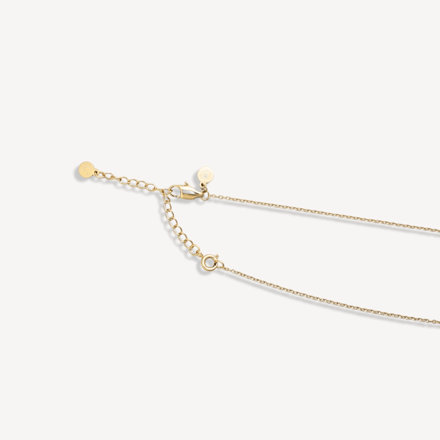 The Leo Lunar Soulkeeper Necklace