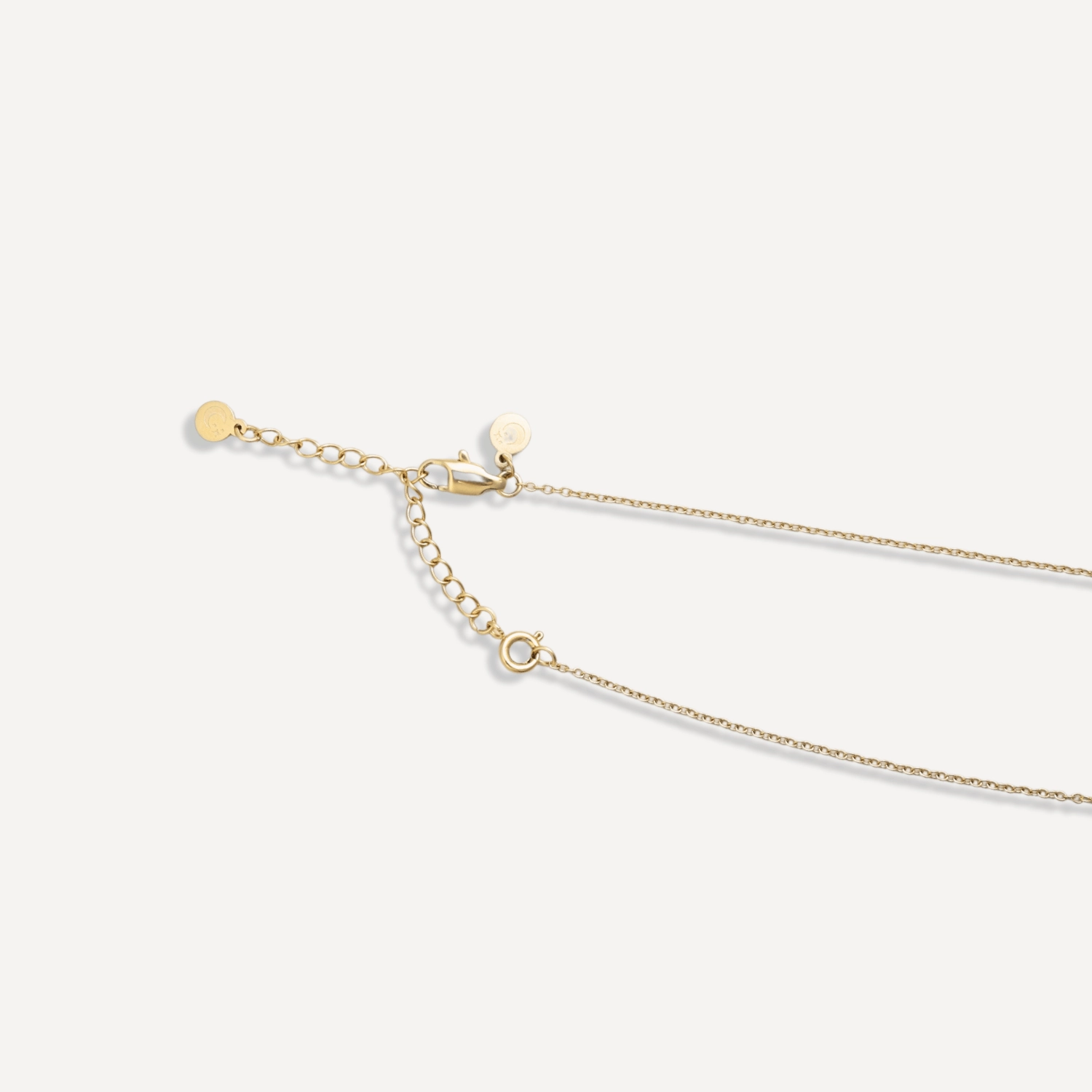 The Scorpio Lunar Soulkeeper Necklace
