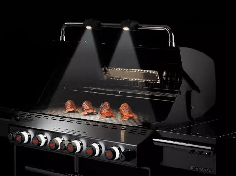 Weber Summit E-670 Gas BBQ